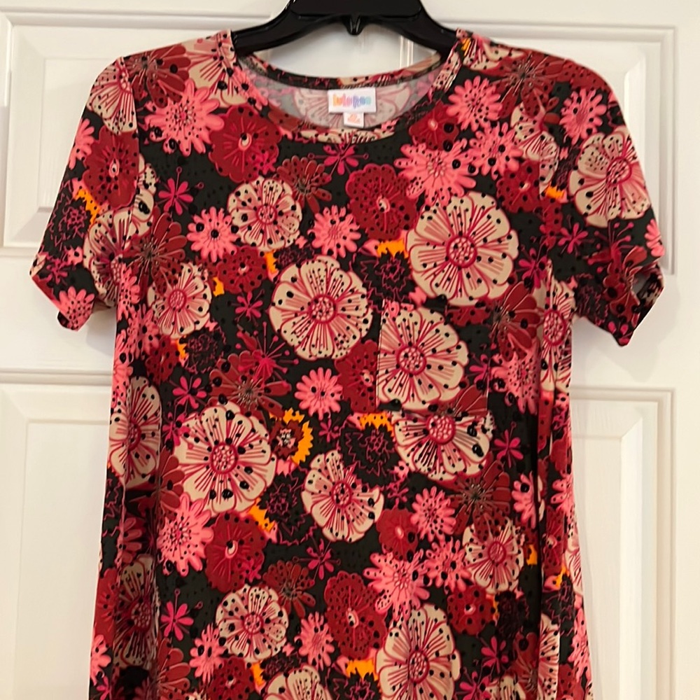 LuLaRoe XS Carly Dress